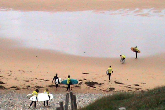 &copy; Surfing Sardine