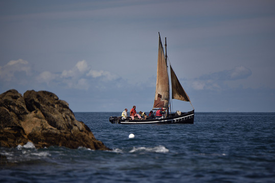 &copy; ronangladu.com